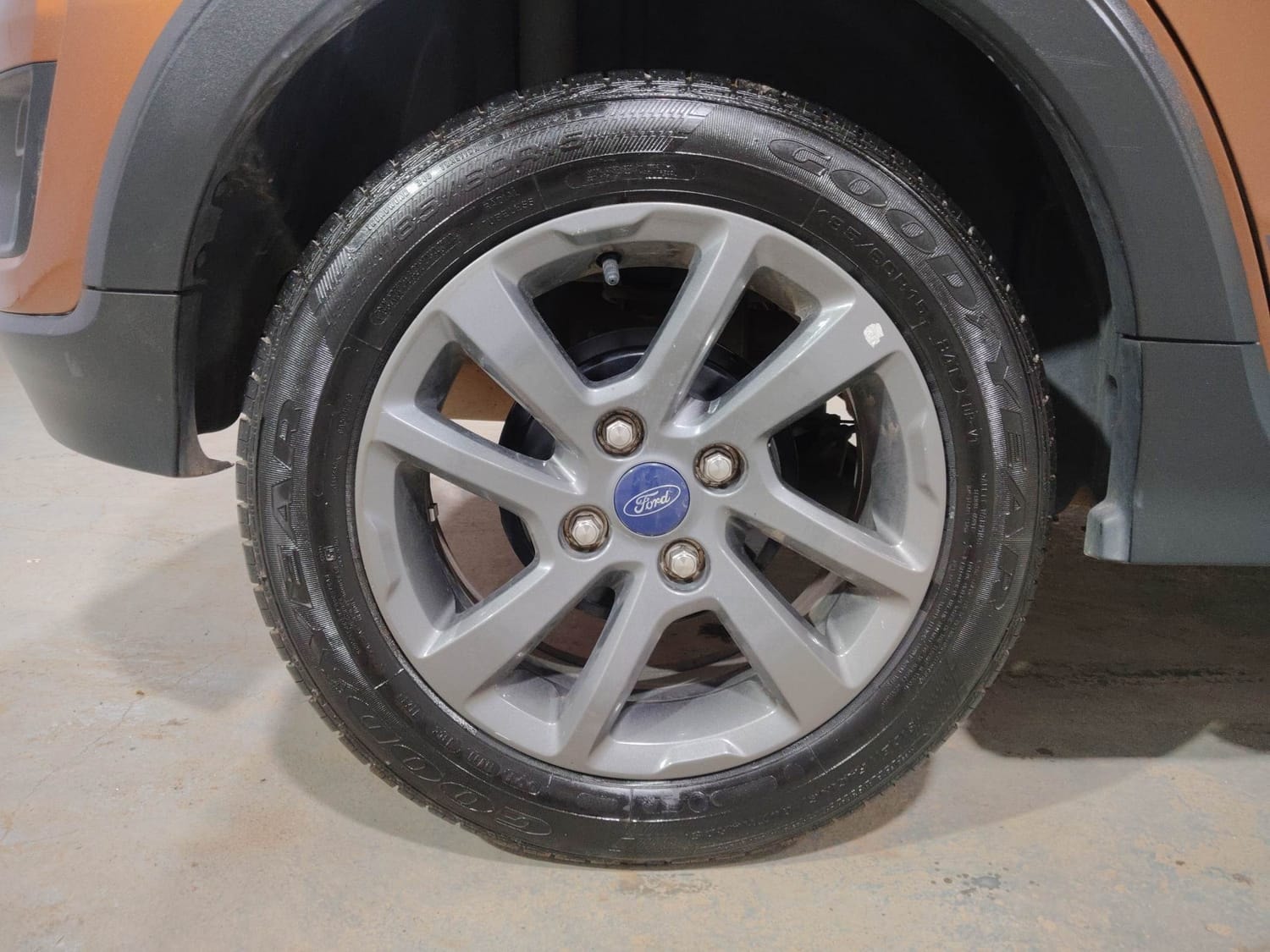 Freestyle image 33 Freestyle image 33