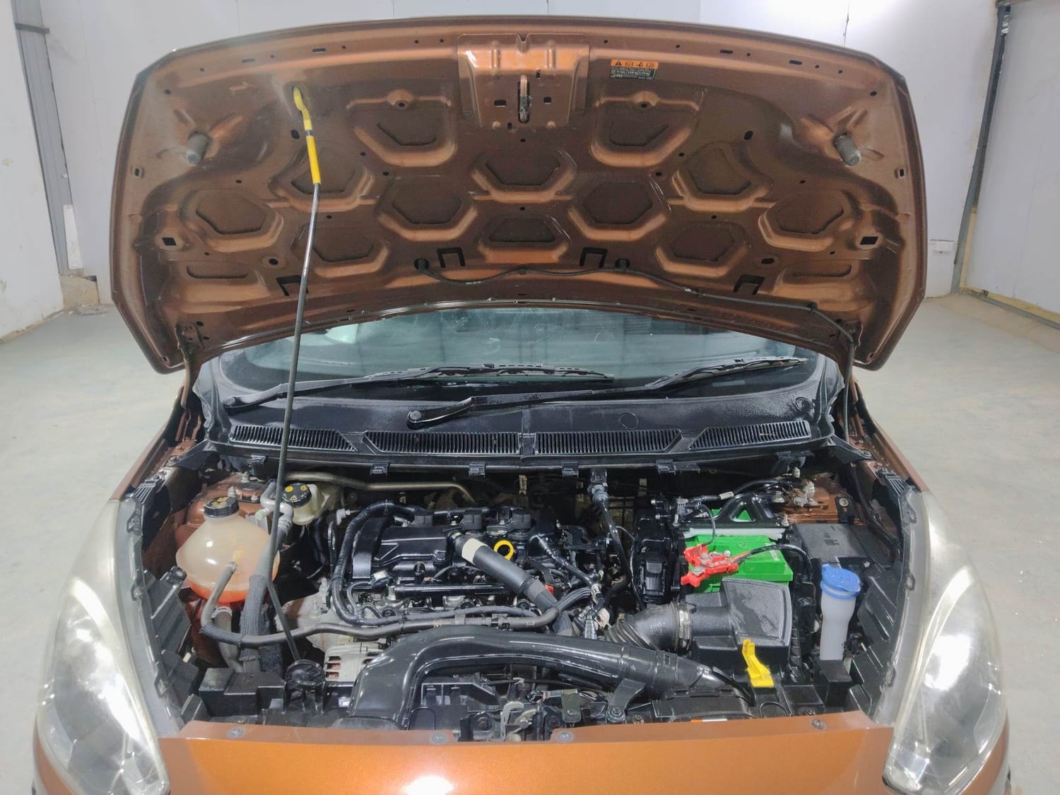 Freestyle image 27 Freestyle image 27