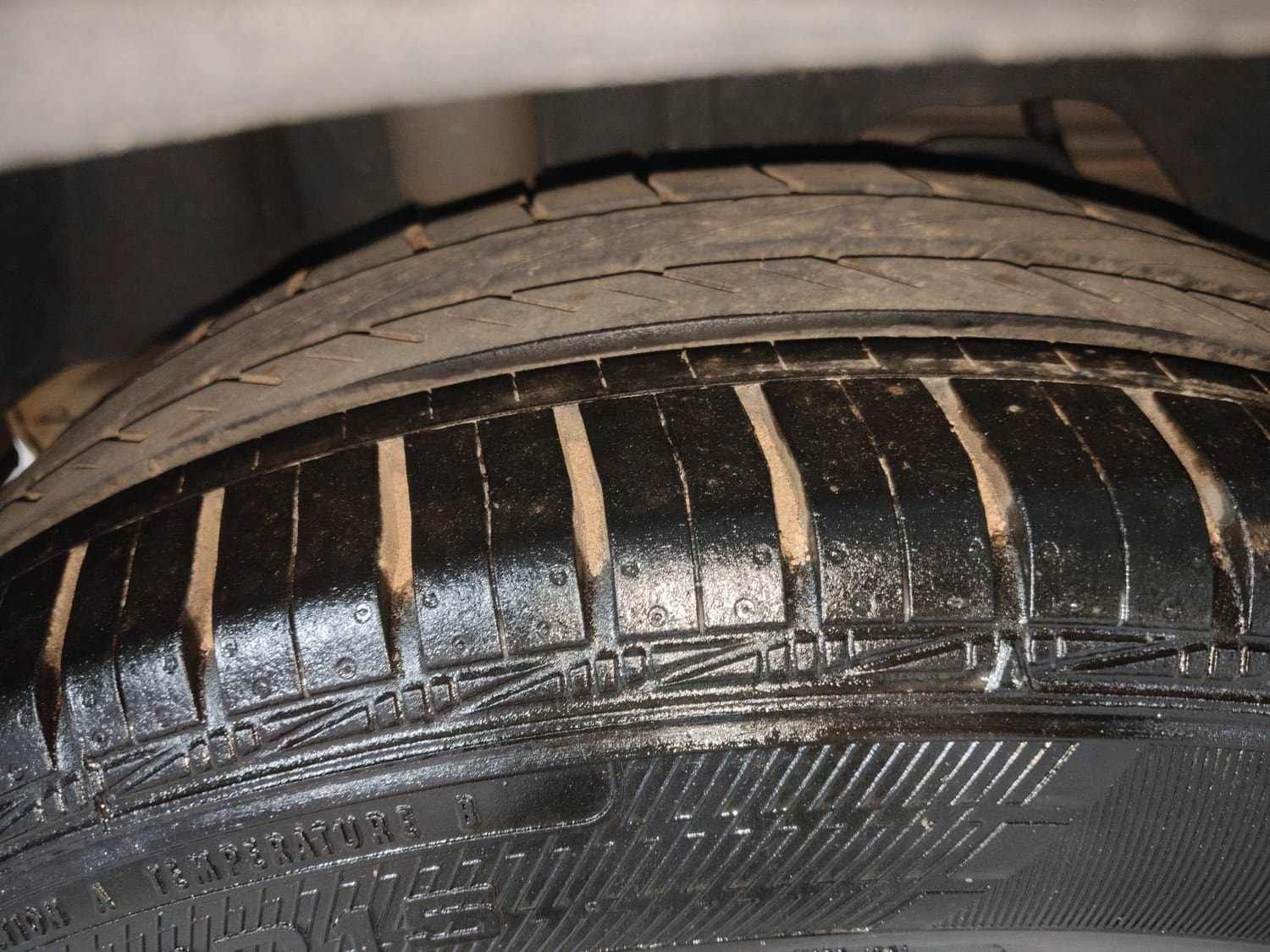 Freestyle image 37 Freestyle image 37