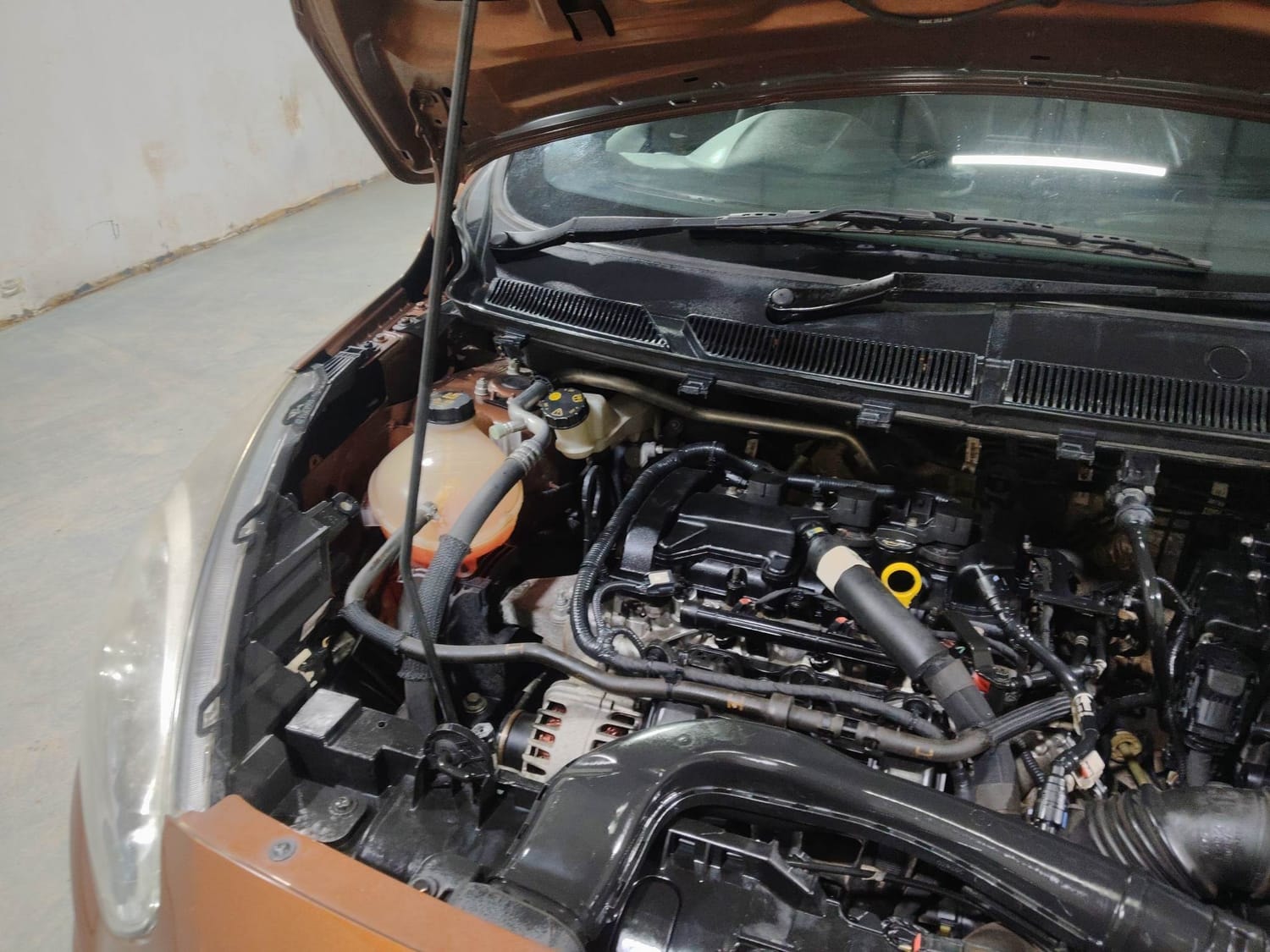 Freestyle image 29 Freestyle image 29