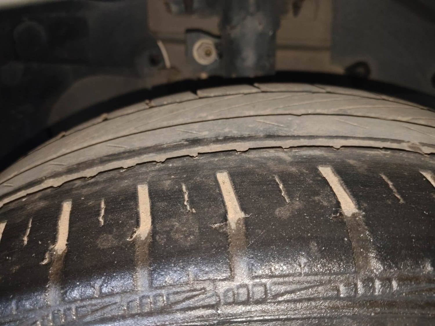 Freestyle image 36 Freestyle image 36