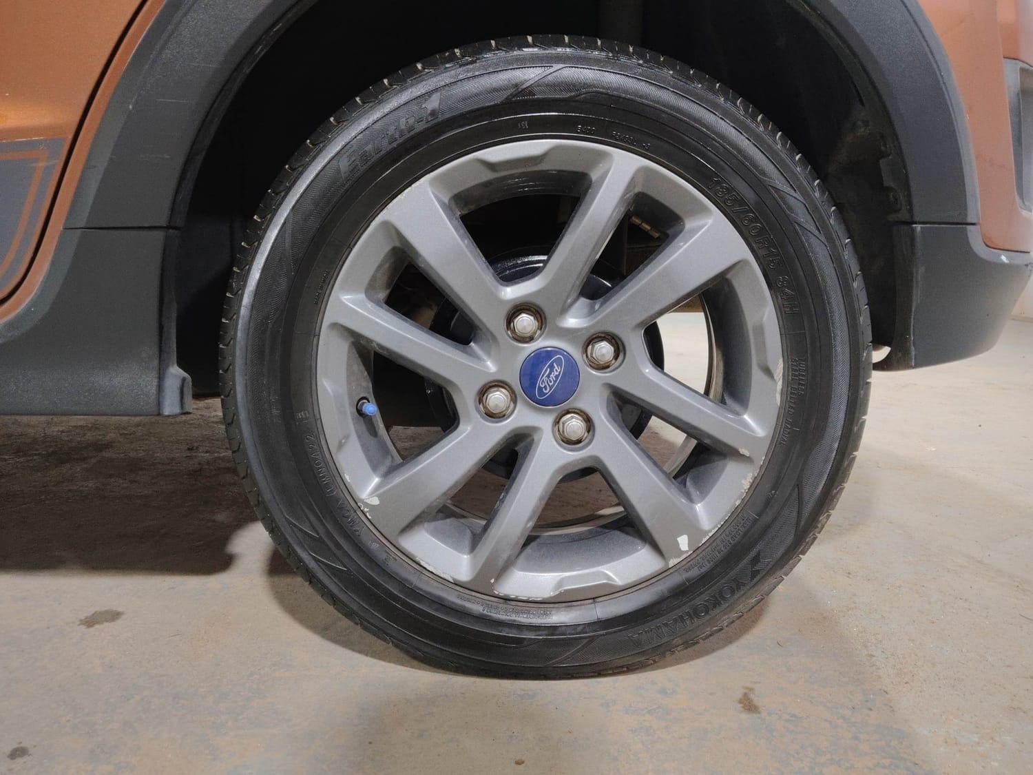 Freestyle image 35 Freestyle image 35