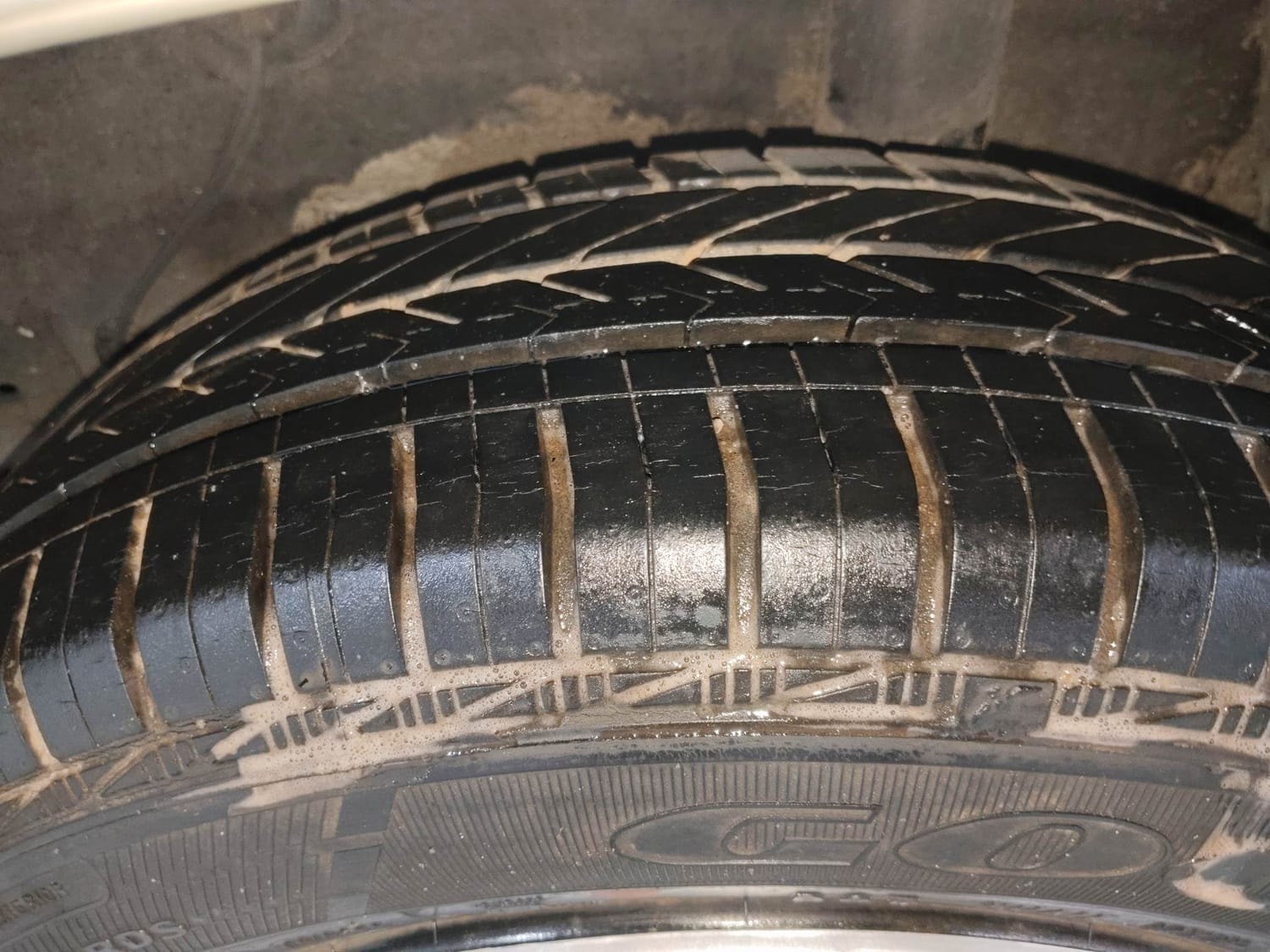 Celerio image 39 Celerio image 39