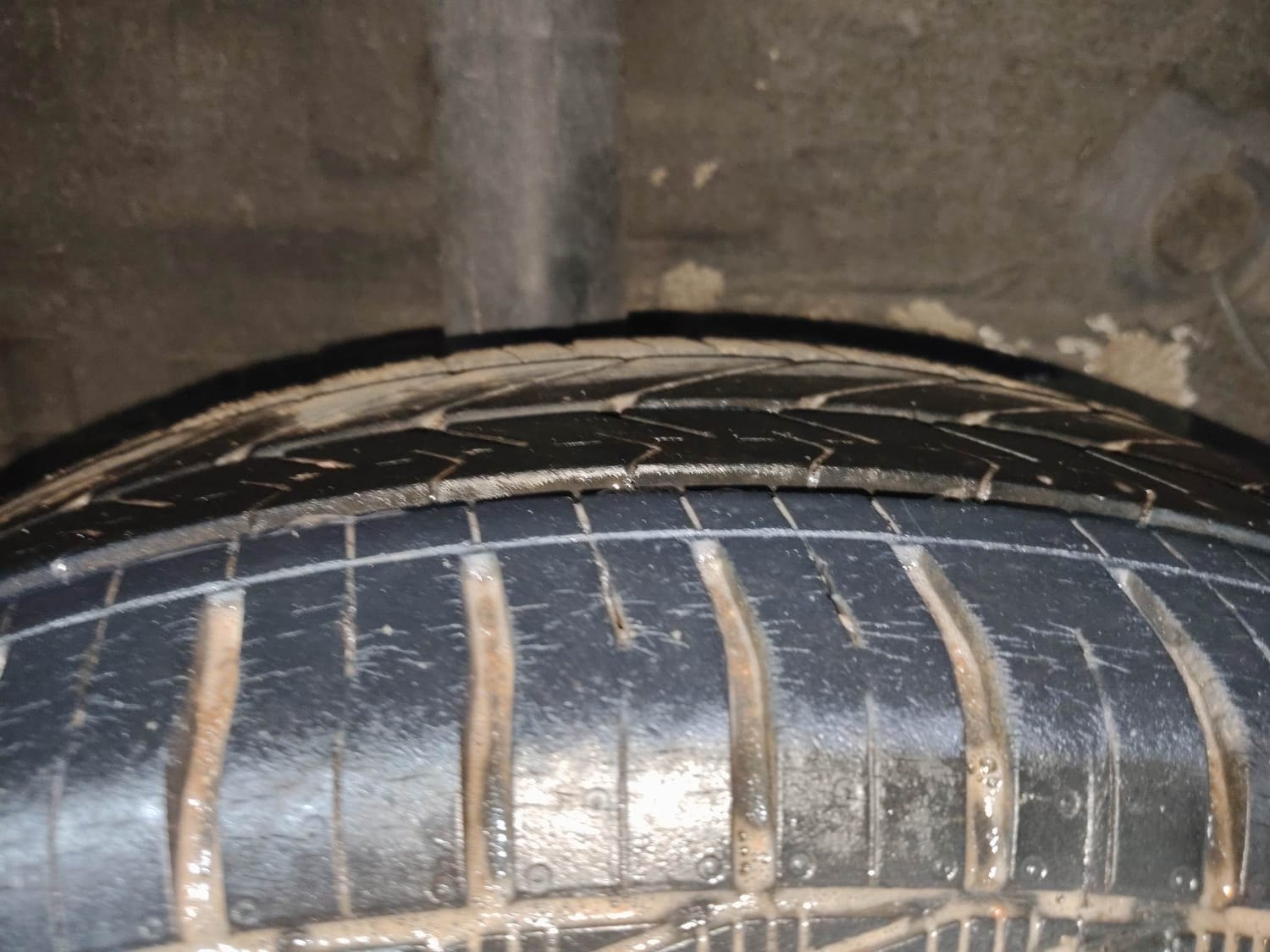 Celerio image 37 Celerio image 37