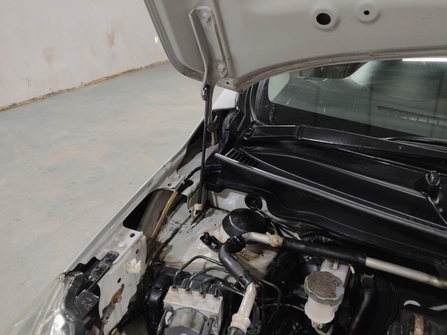 Celerio image 31 Celerio image 31