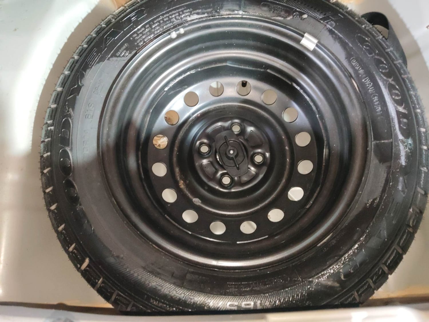 Celerio image 40 Celerio image 40