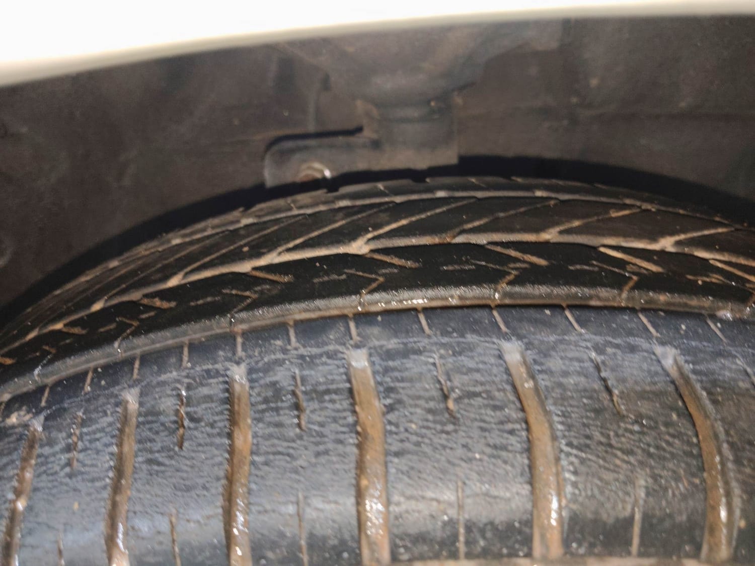 Celerio image 36 Celerio image 36