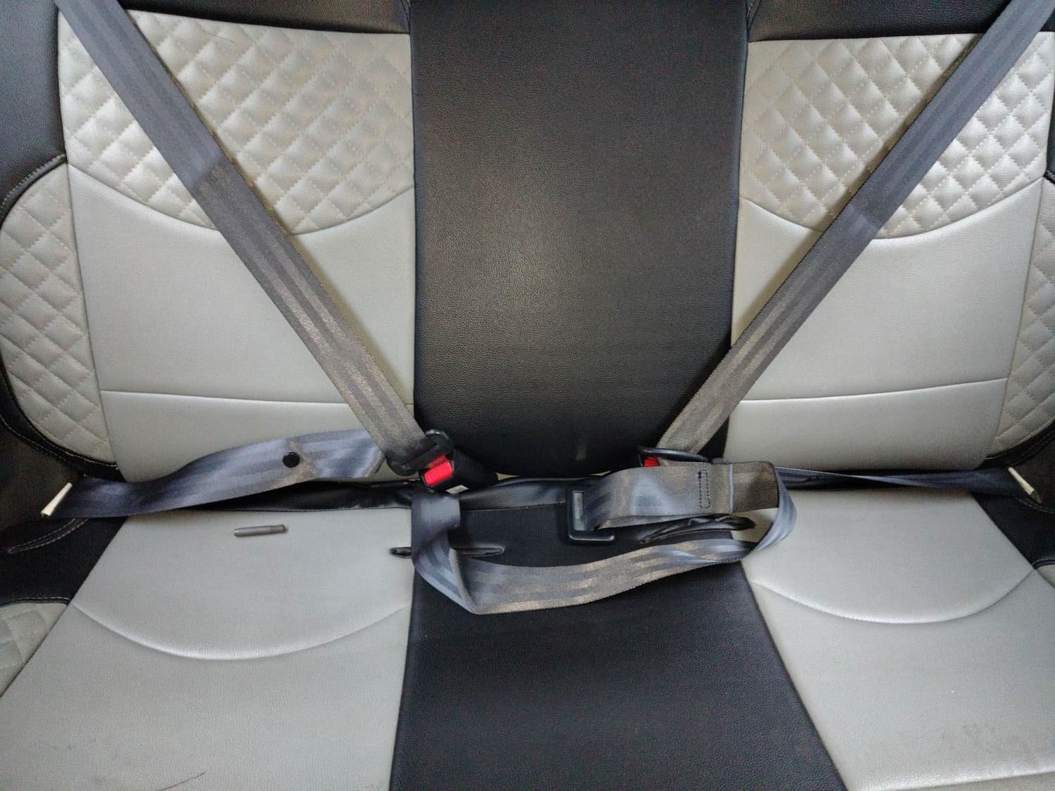 Alto 800 image 23 Alto 800 image 23