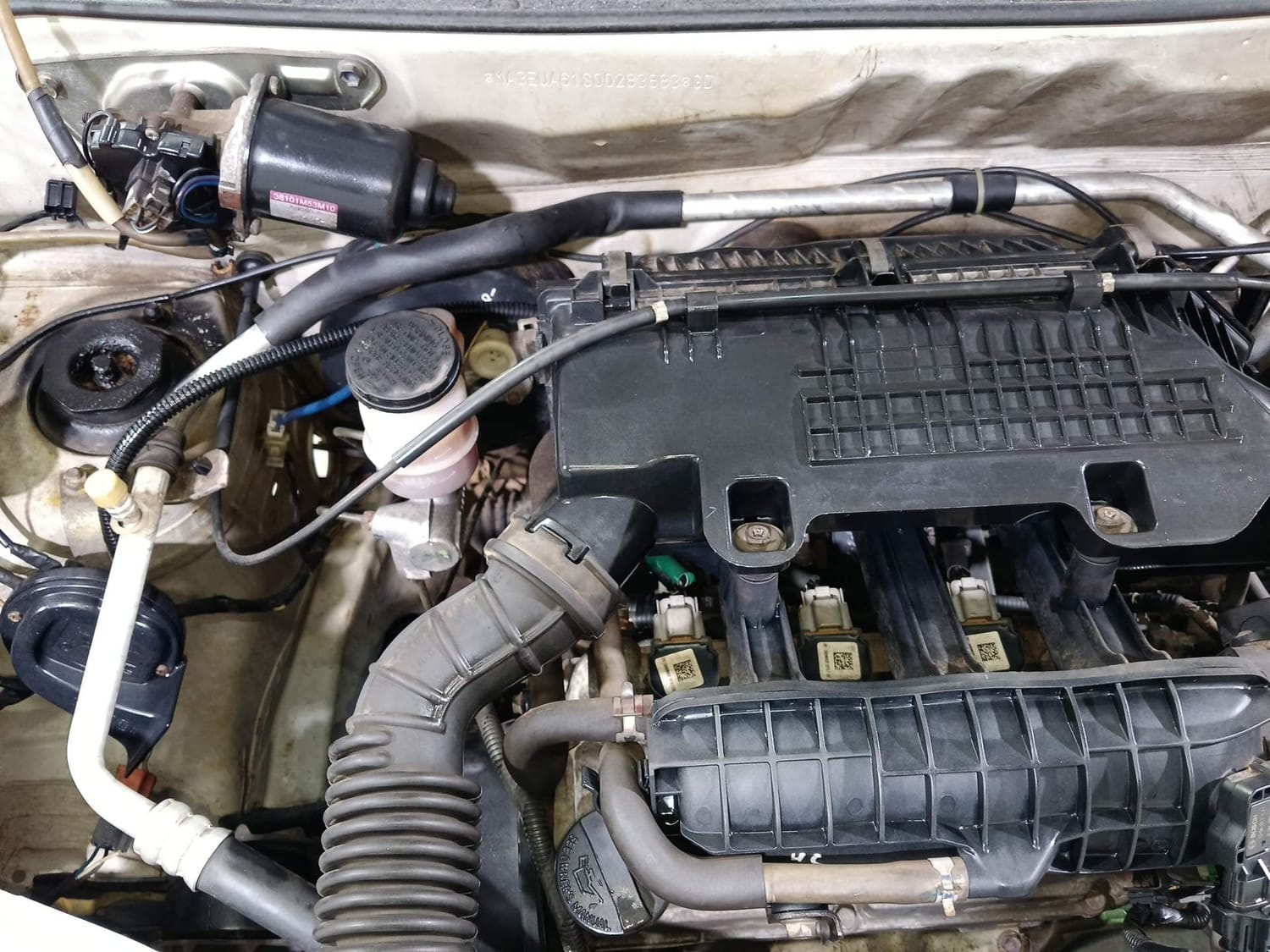 Alto 800 image 29 Alto 800 image 29