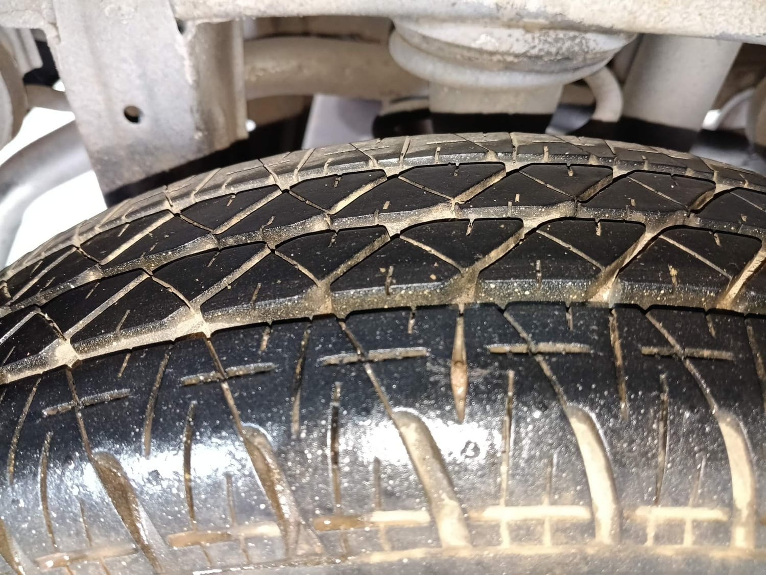 Alto 800 image 37 Alto 800 image 37