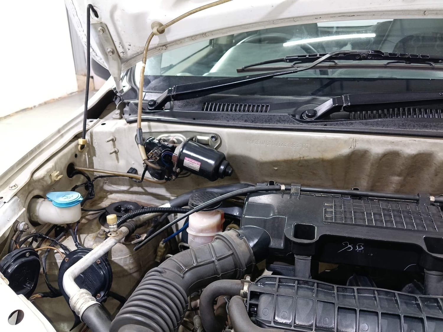 Alto 800 image 31 Alto 800 image 31