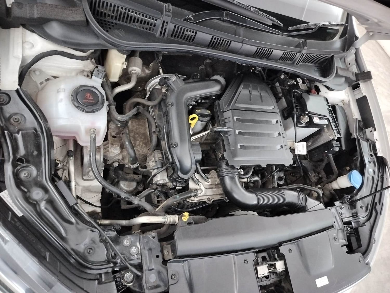 Virtus image 29 Virtus image 29