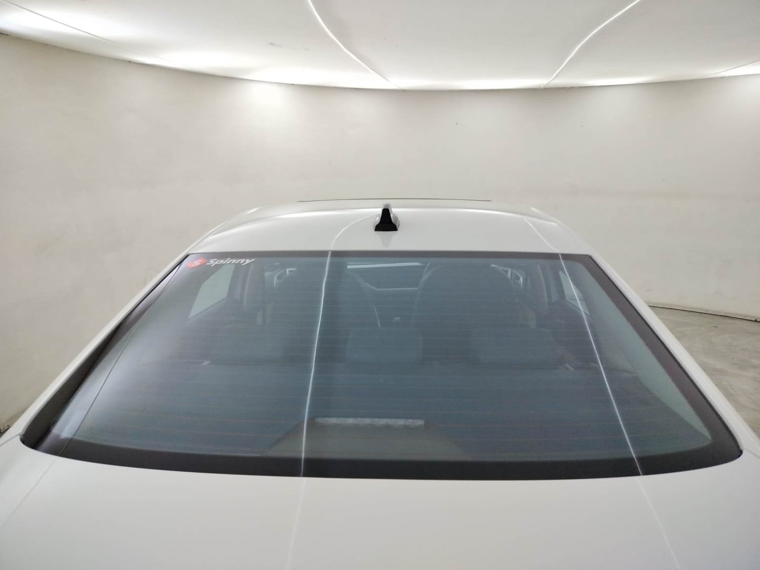 Virtus image 10 Virtus image 10