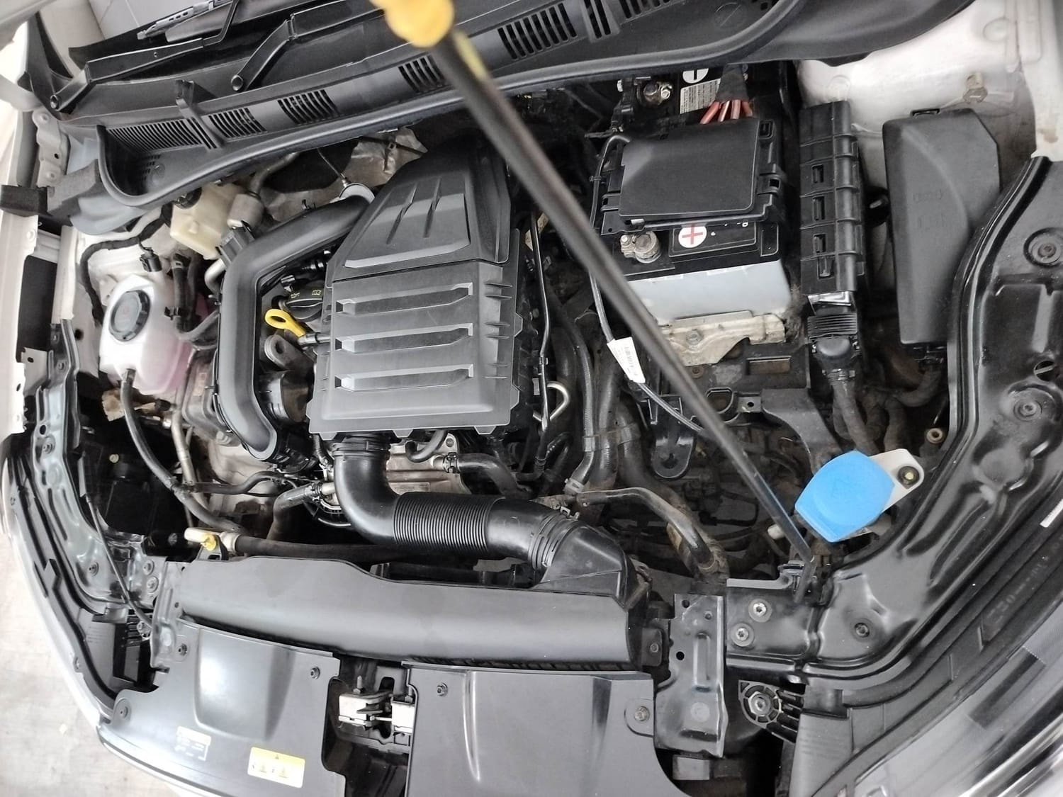 Virtus image 28 Virtus image 28