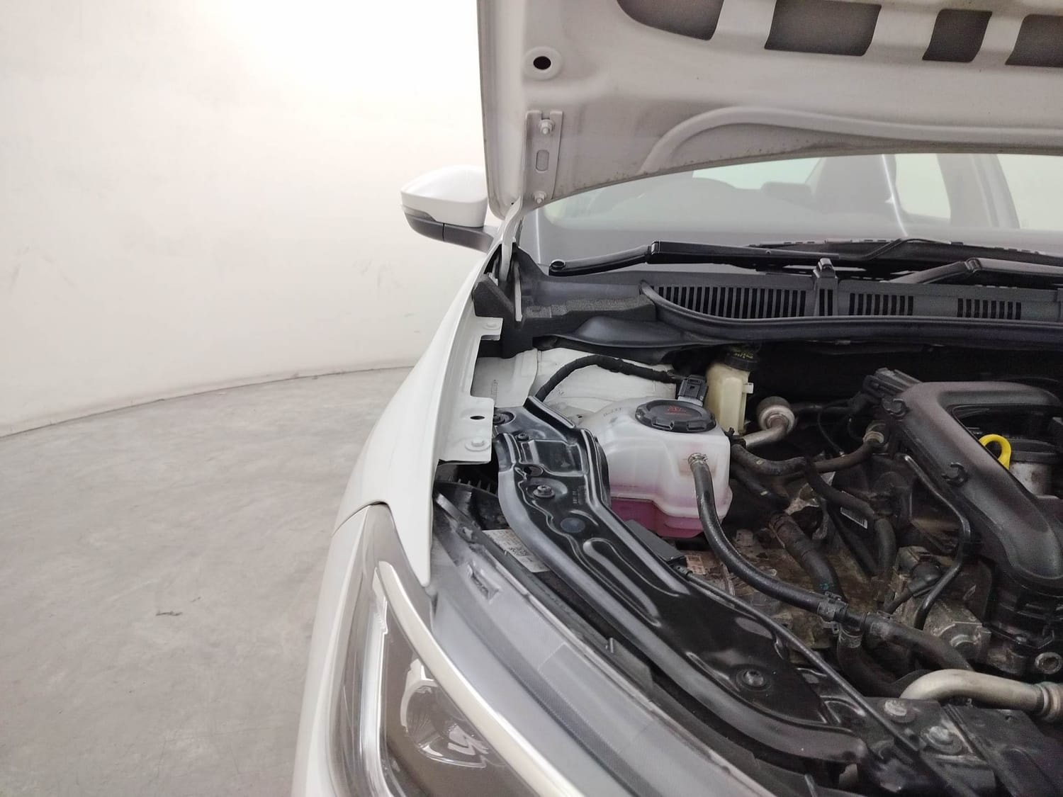 Virtus image 31 Virtus image 31