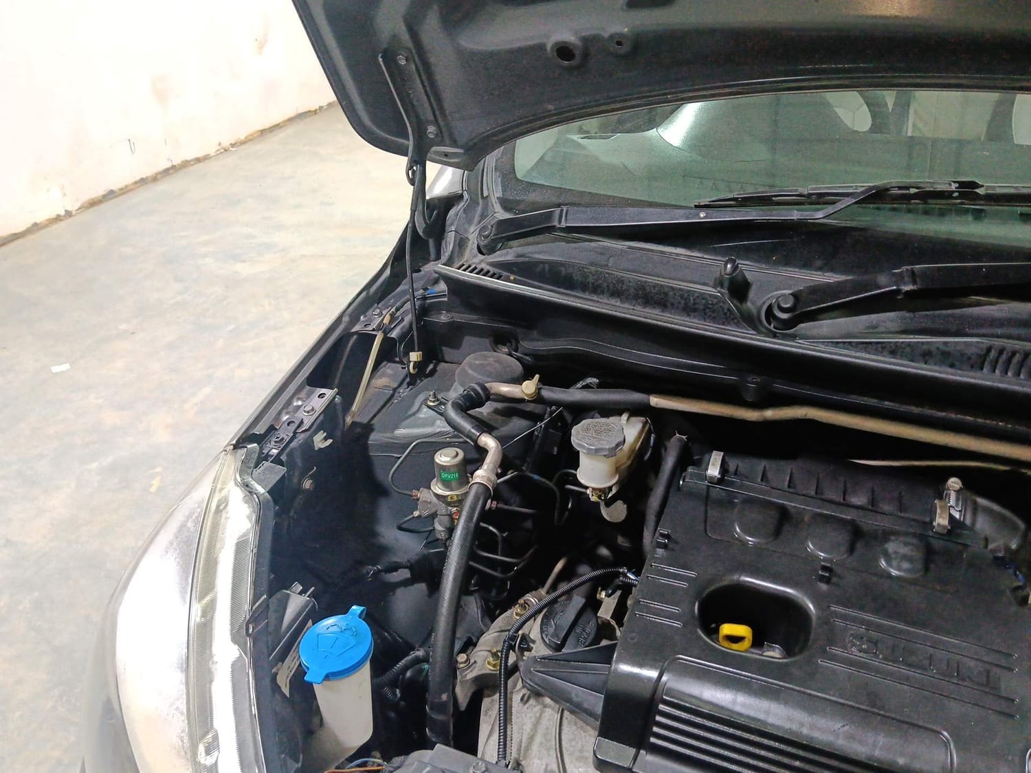 Celerio image 31 Celerio image 31