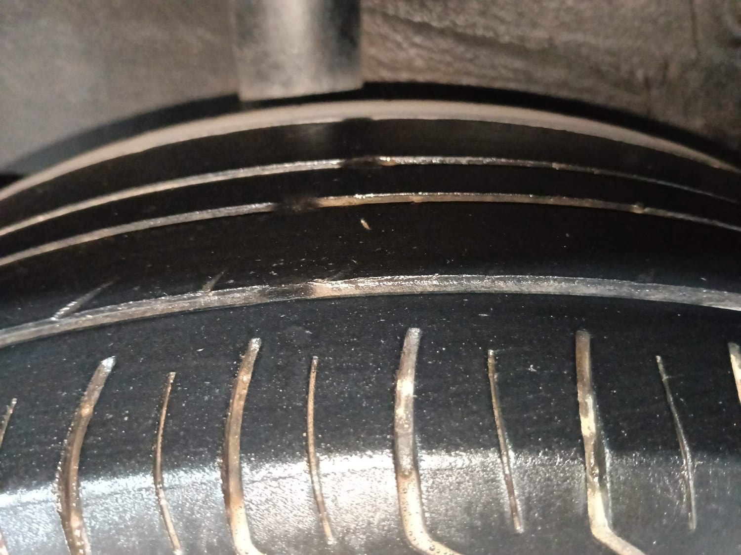 Celerio image 37 Celerio image 37