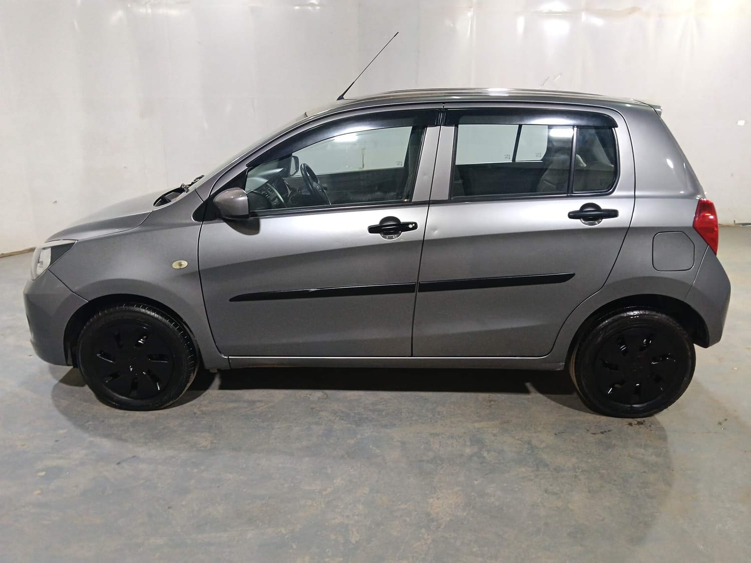 Celerio image 2 Celerio image 2