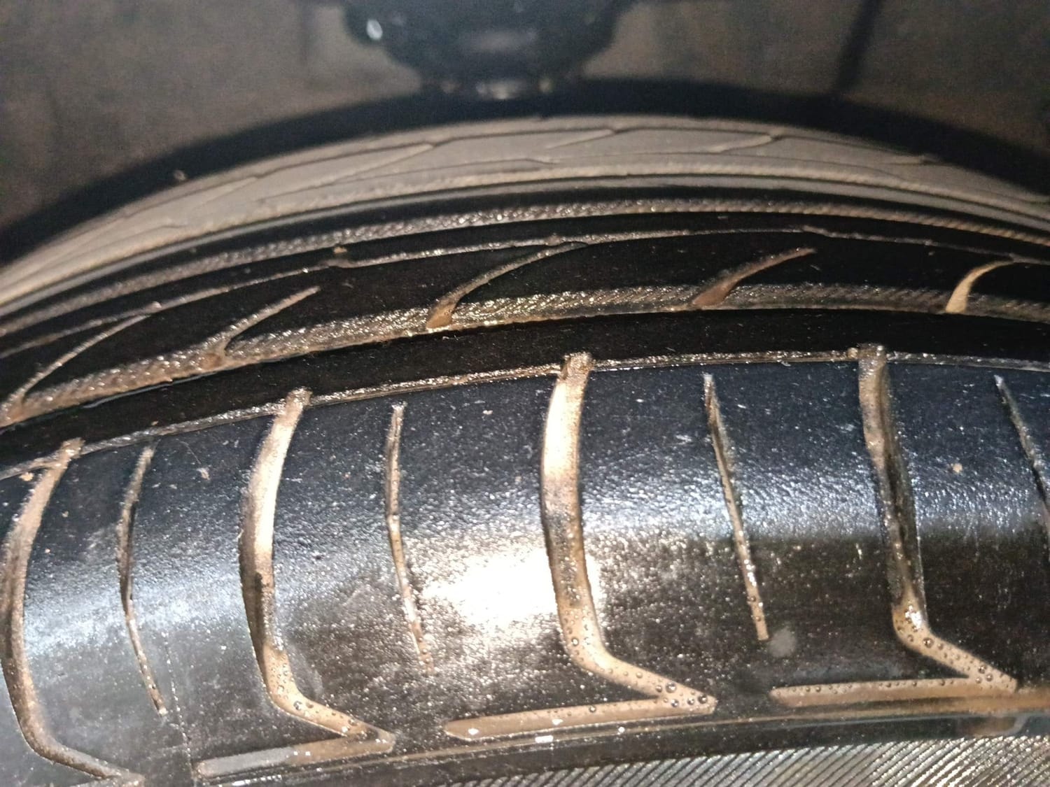 Celerio image 36 Celerio image 36