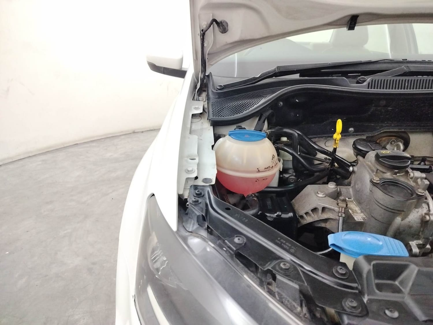 Ameo image 31 Ameo image 31