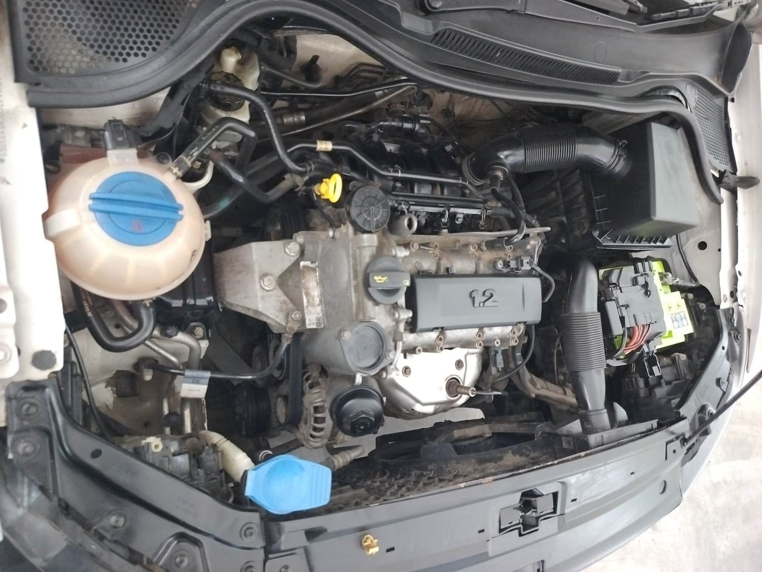 Ameo image 29 Ameo image 29