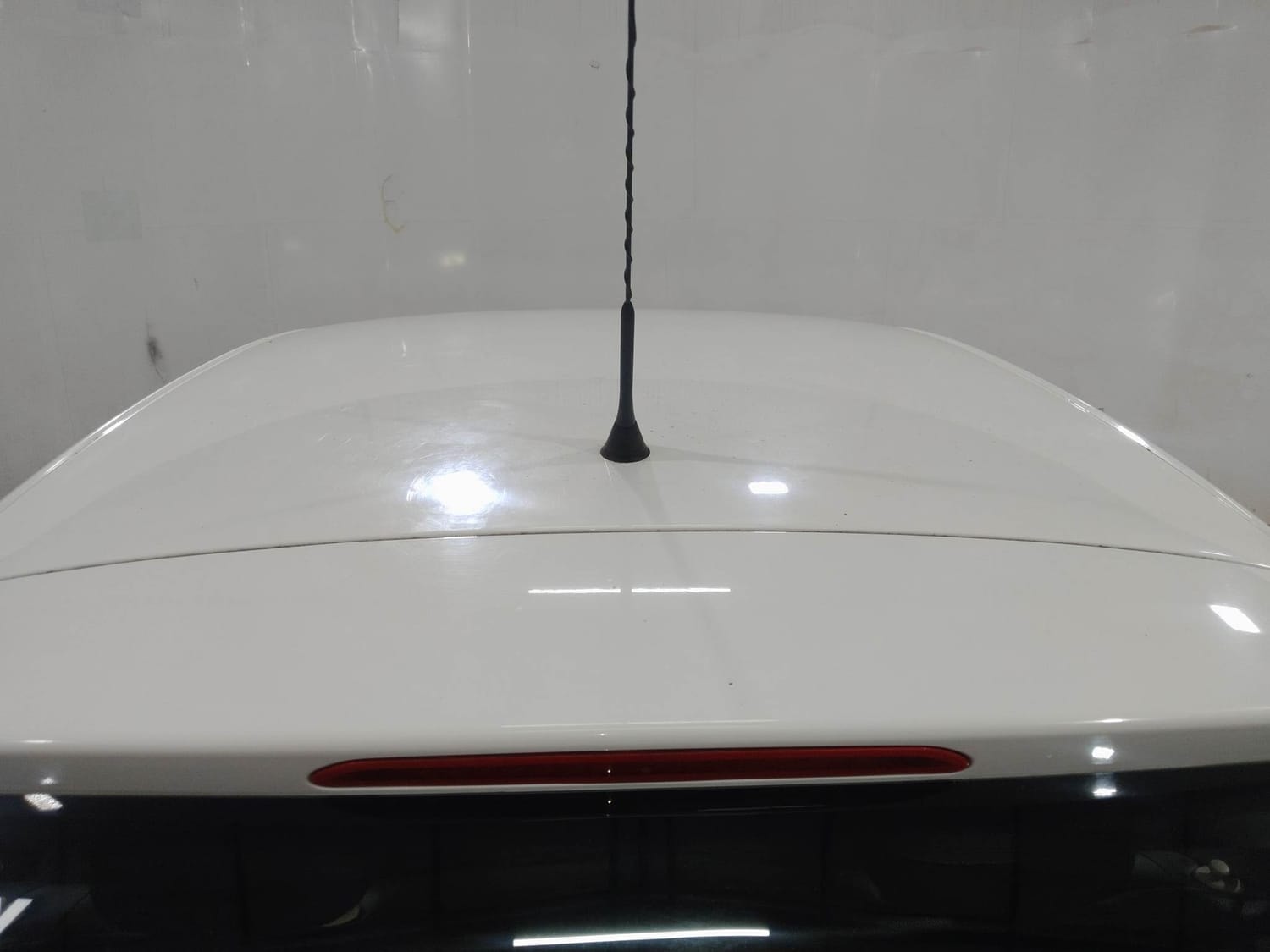 Polo image 11 Polo image 11