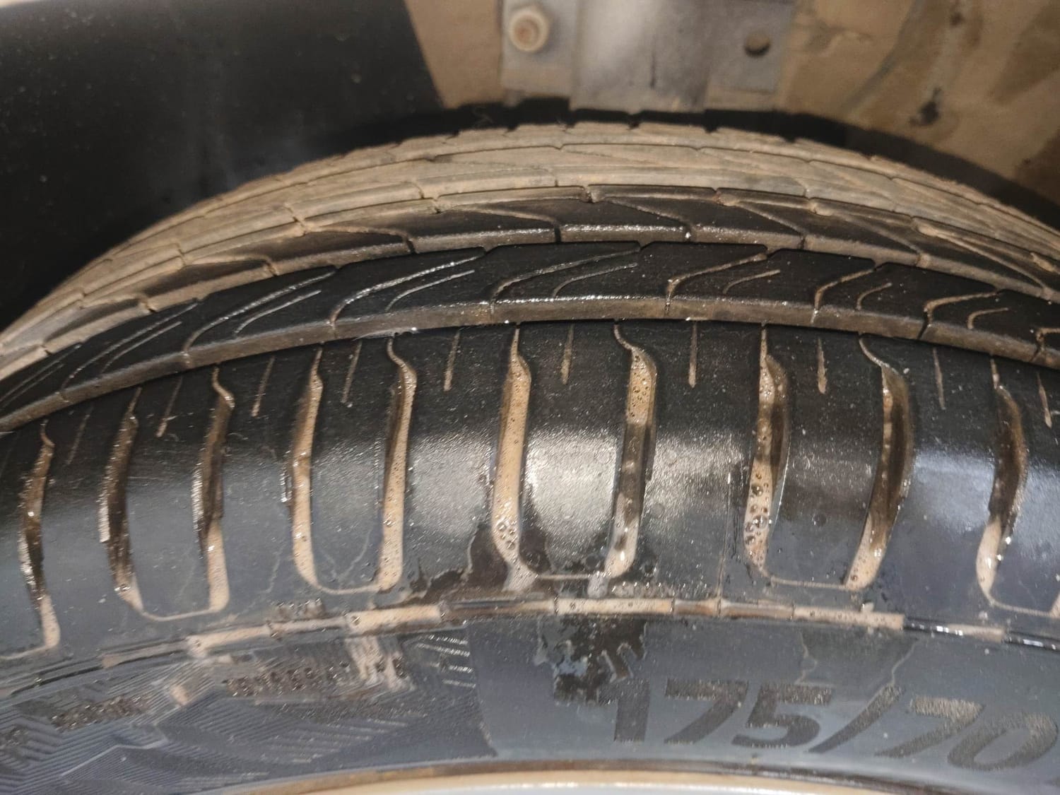 Polo image 38 Polo image 38