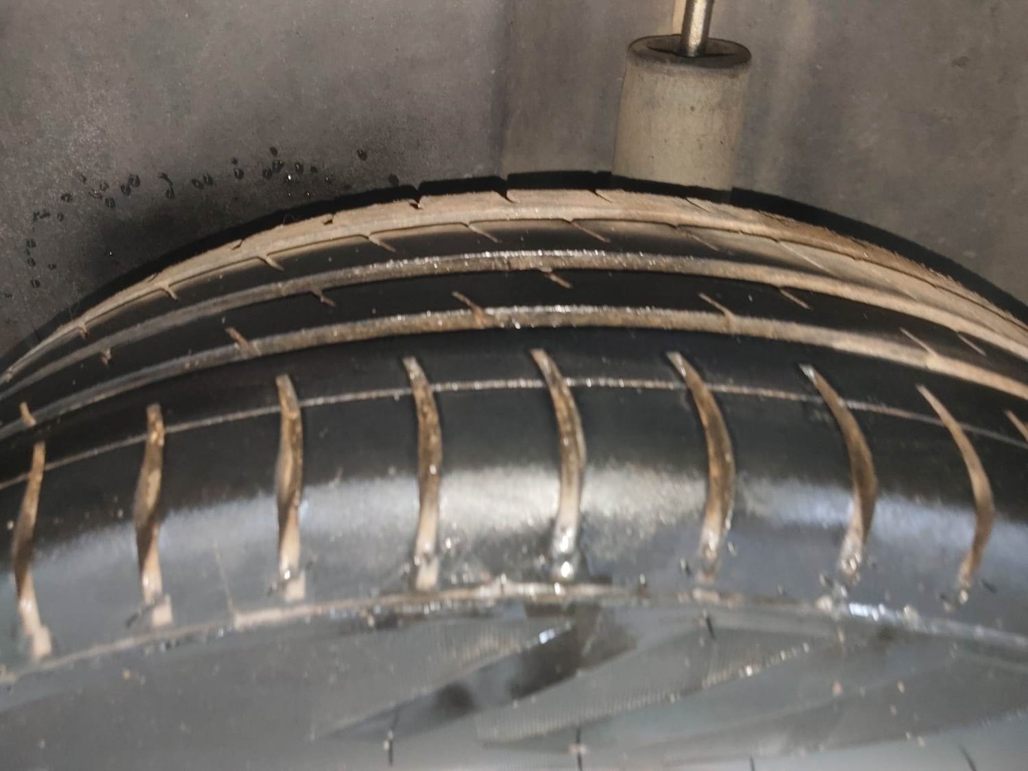 Polo image 39 Polo image 39