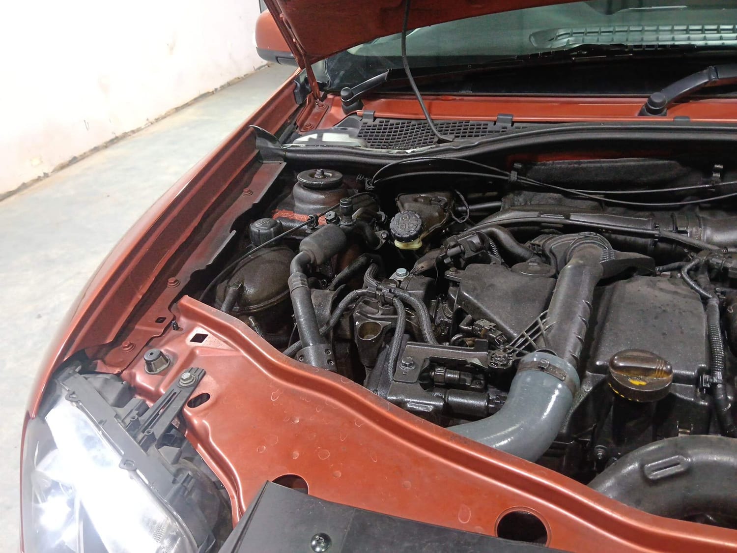 Duster image 31 Duster image 31