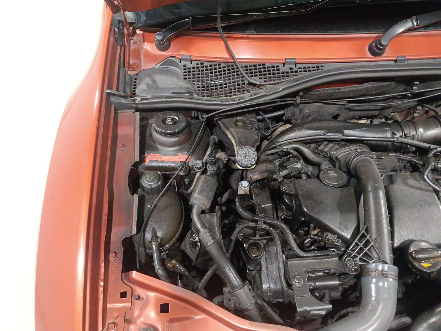 Duster image 29 Duster image 29