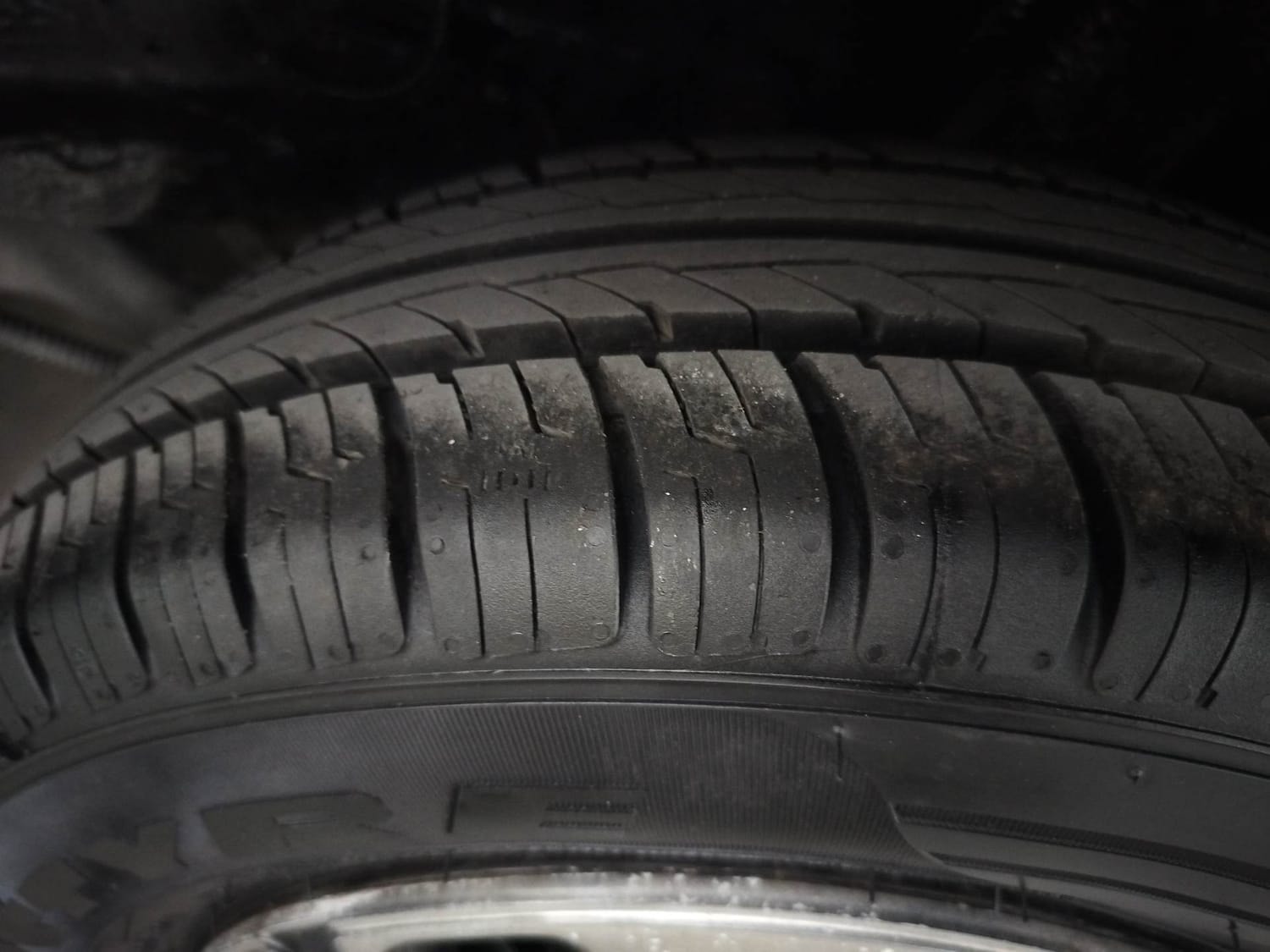 Tiago image 39 Tiago image 39