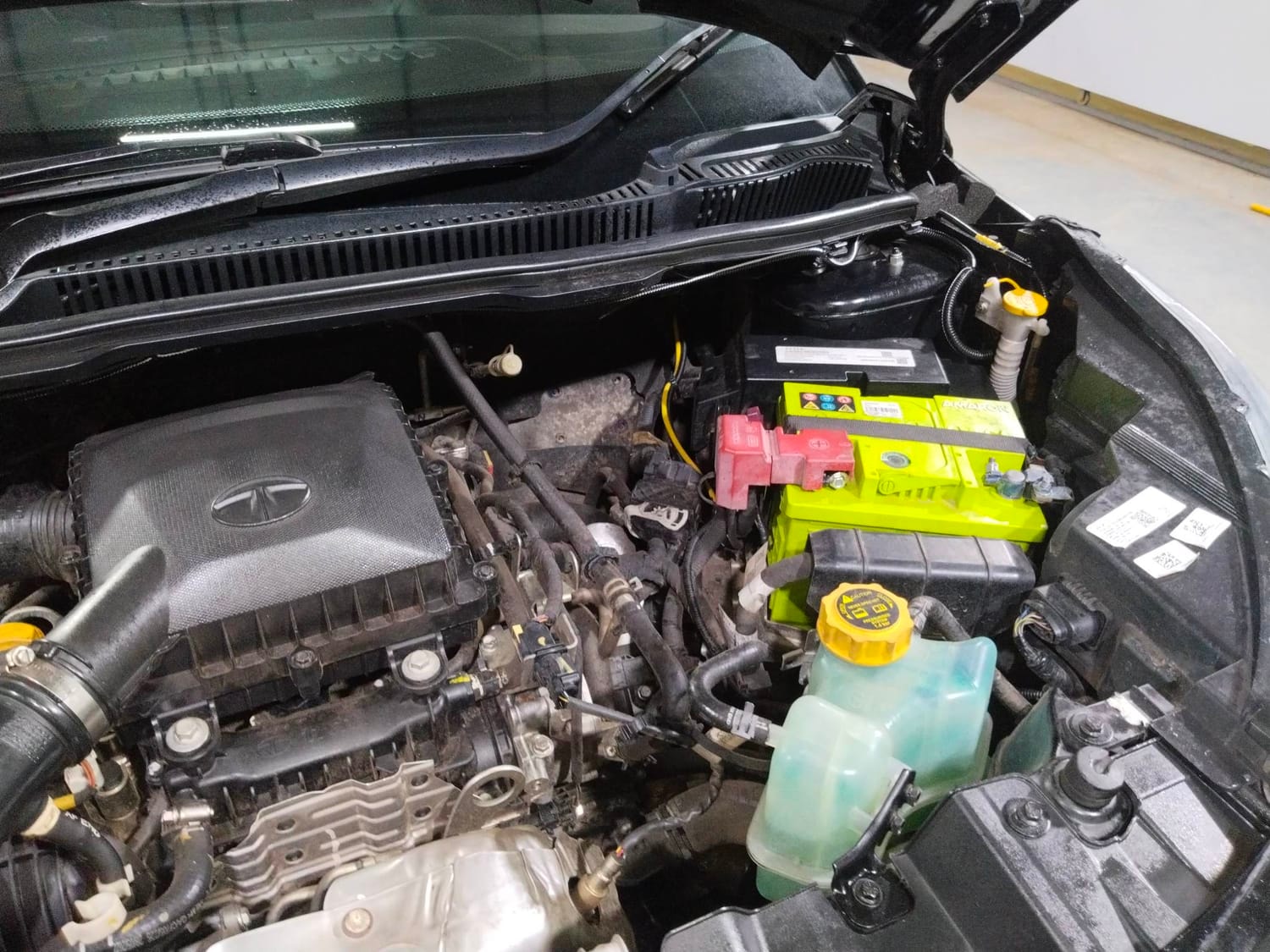 Nexon image 30 Nexon image 30