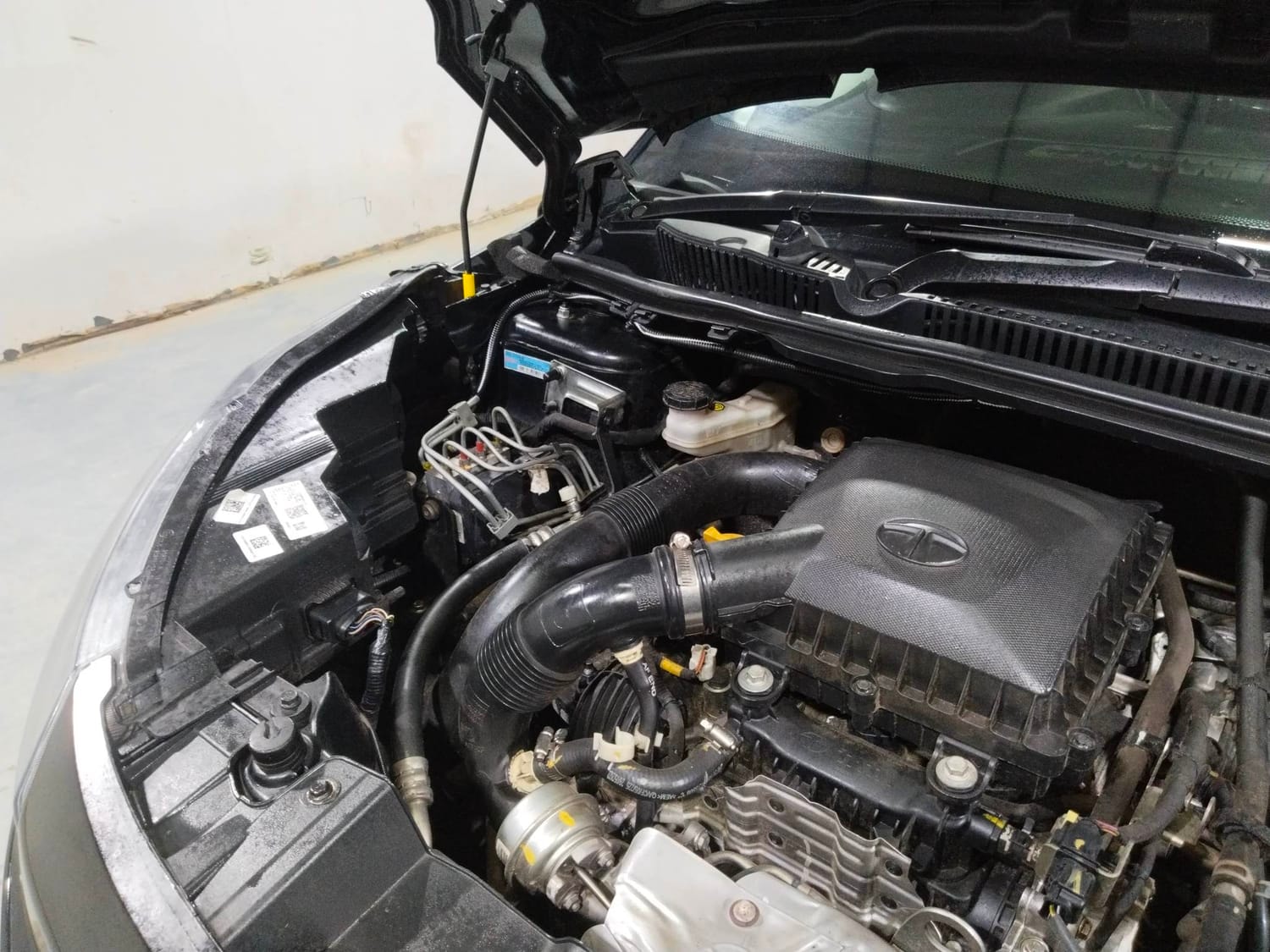 Nexon image 31 Nexon image 31