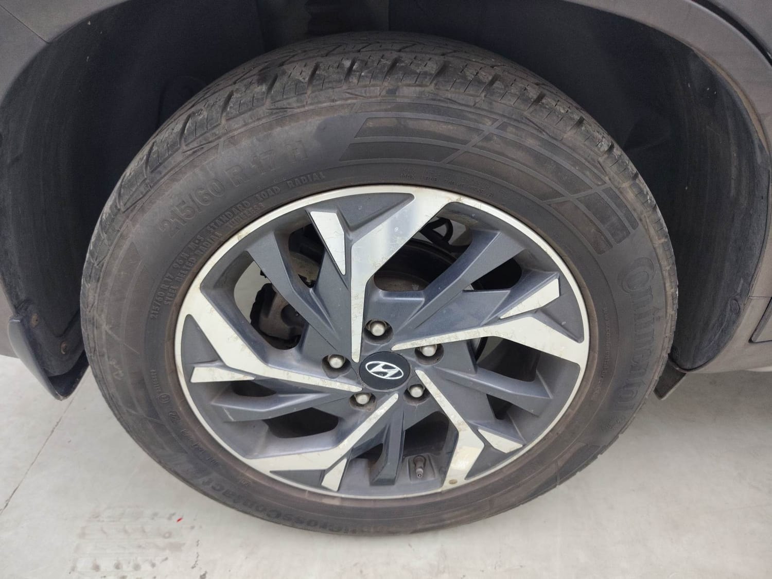 Creta image 33 Creta image 33