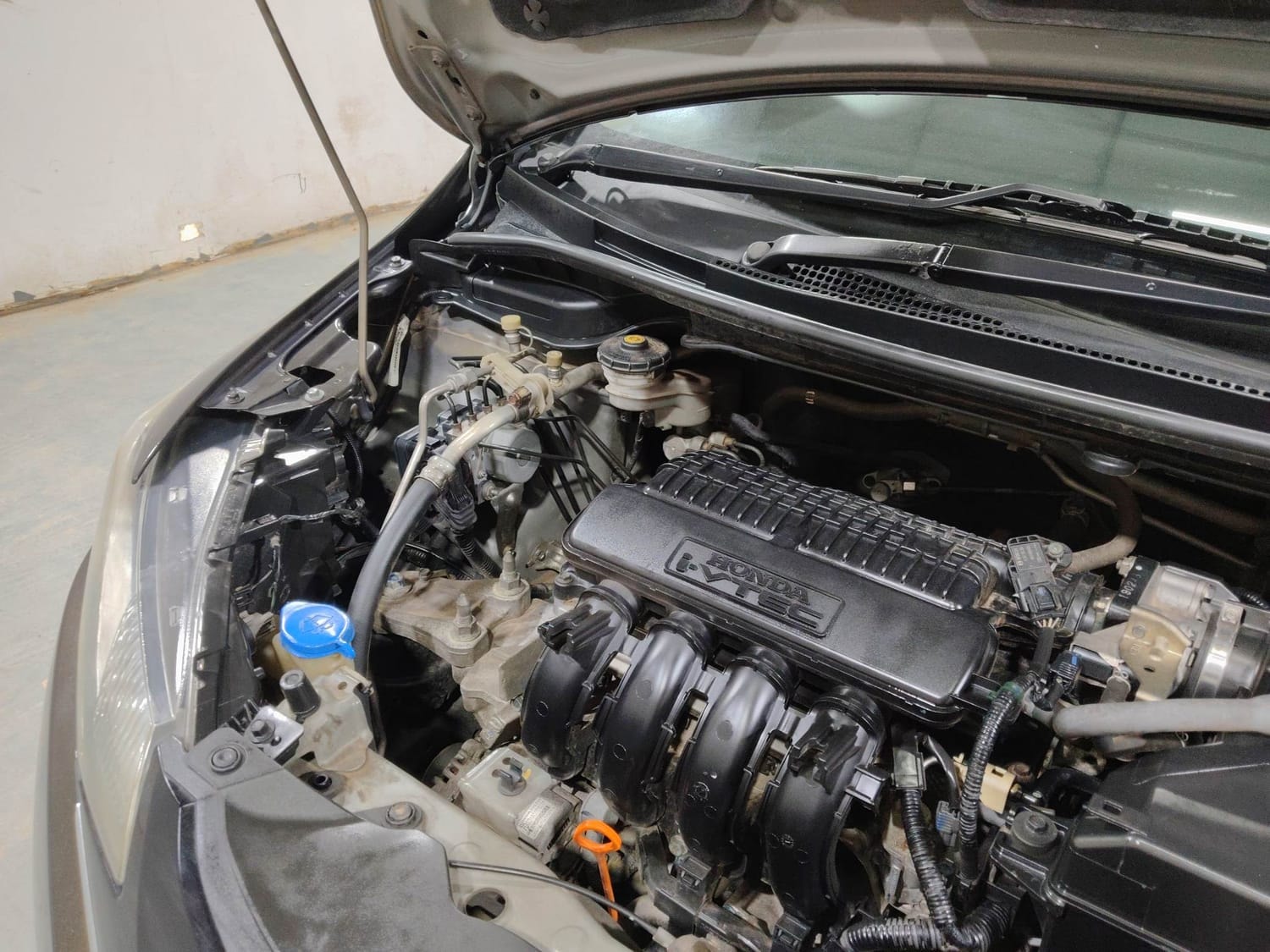 Jazz image 29 Jazz image 29