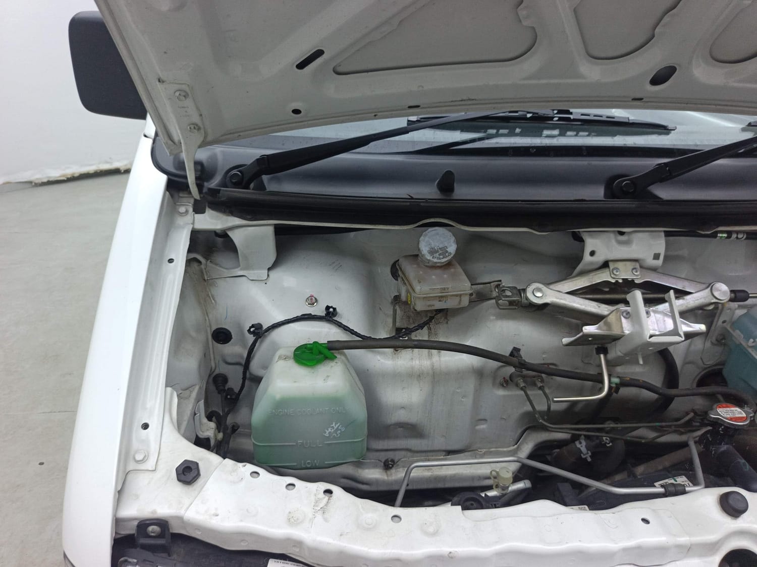 Eeco image 31 Eeco image 31