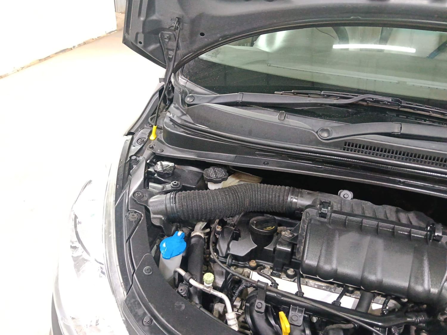 i10 image 31 i10 image 31