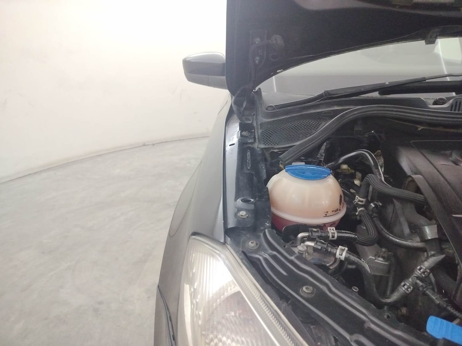 Rapid image 31 Rapid image 31