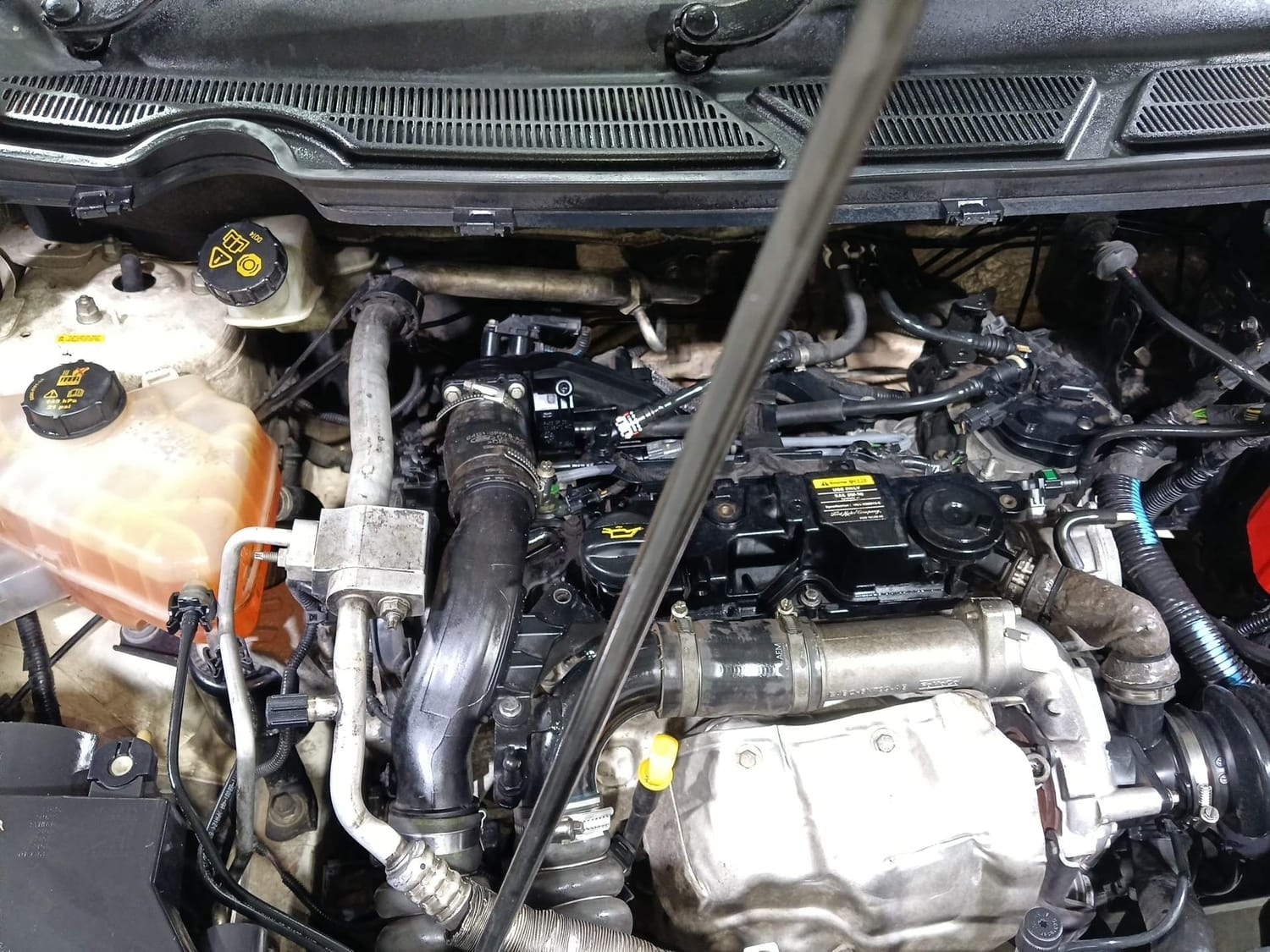 EcoSport image 29 EcoSport image 29