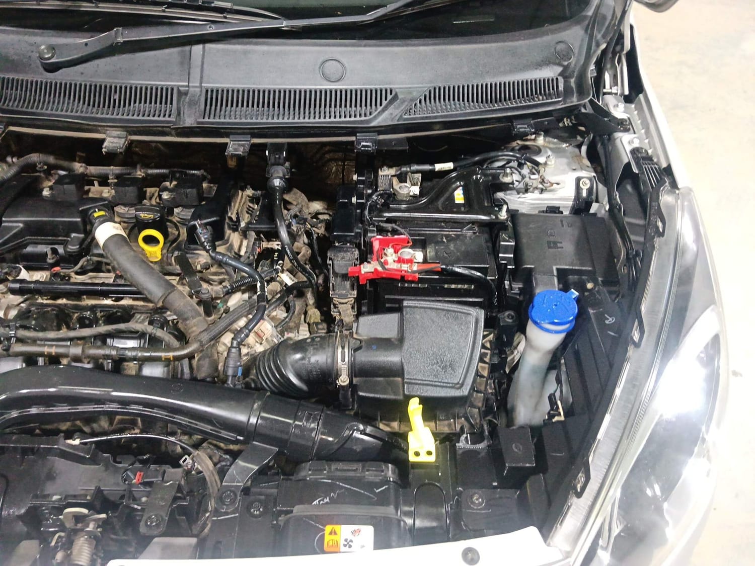 Freestyle image 28 Freestyle image 28