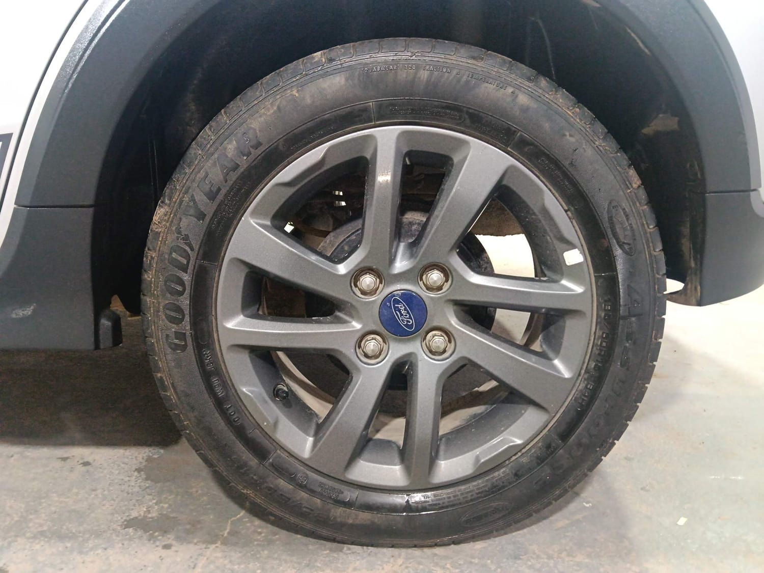 Freestyle image 35 Freestyle image 35