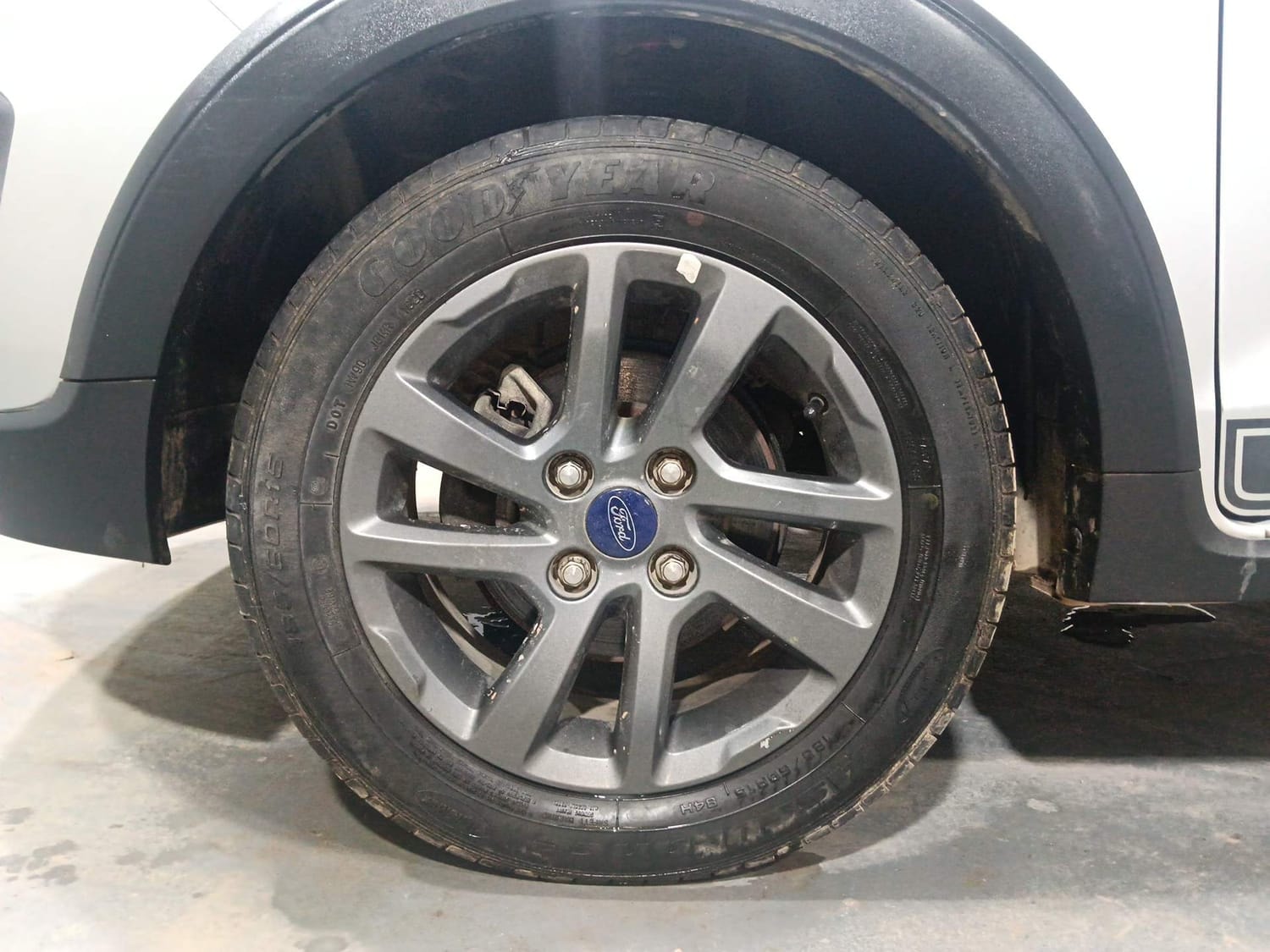 Freestyle image 34 Freestyle image 34