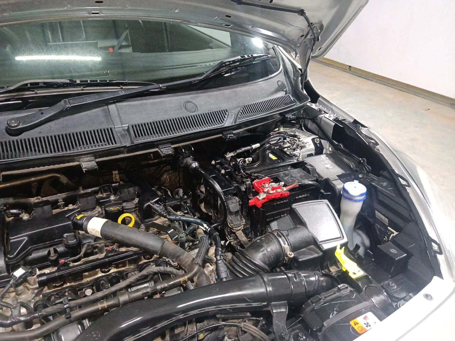 Freestyle image 30 Freestyle image 30