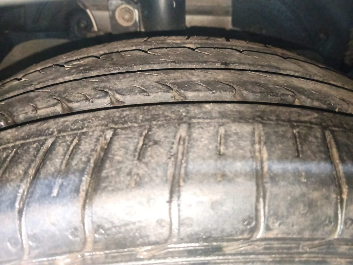 Freestyle image 36 Freestyle image 36