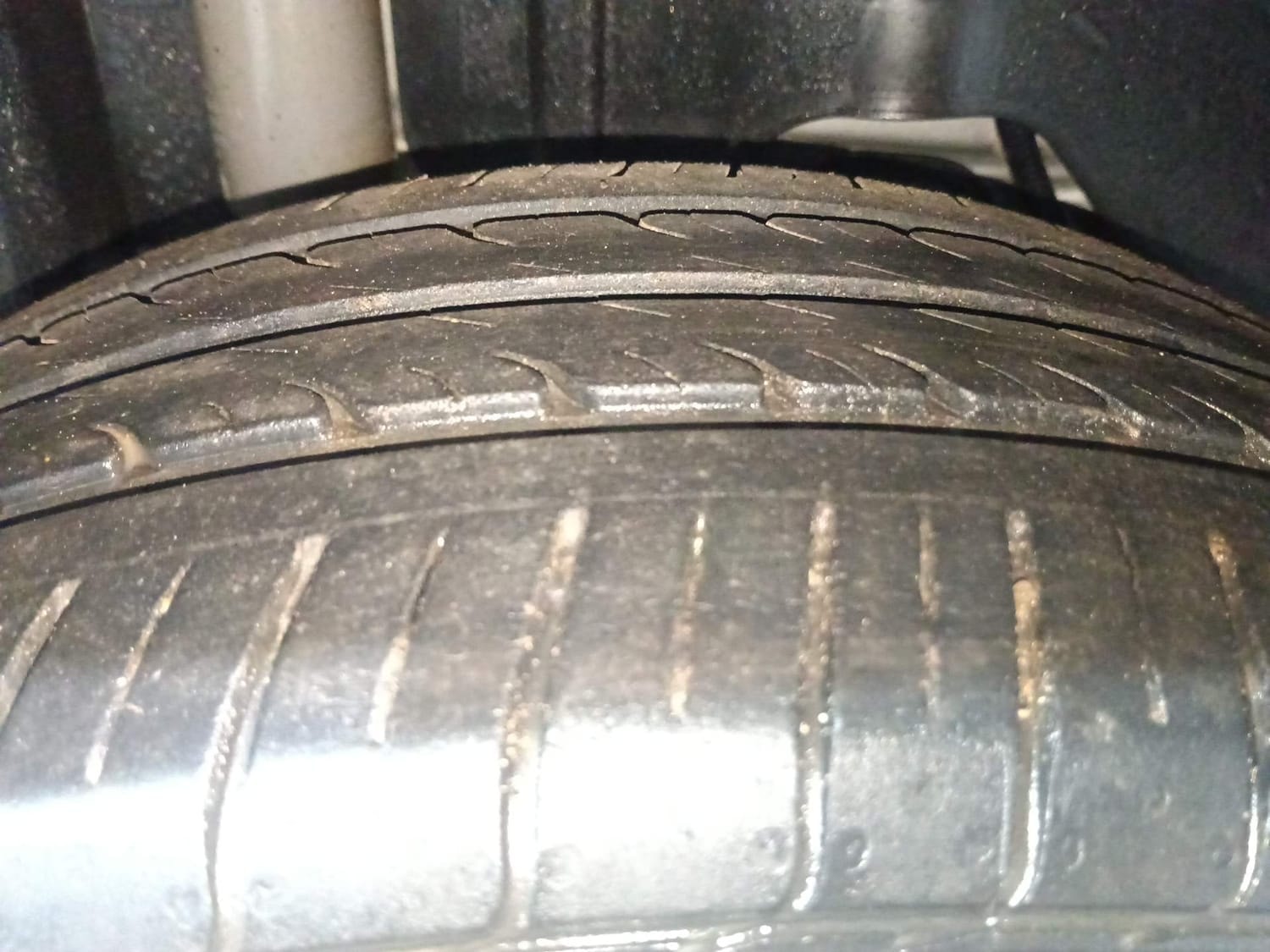 Freestyle image 37 Freestyle image 37