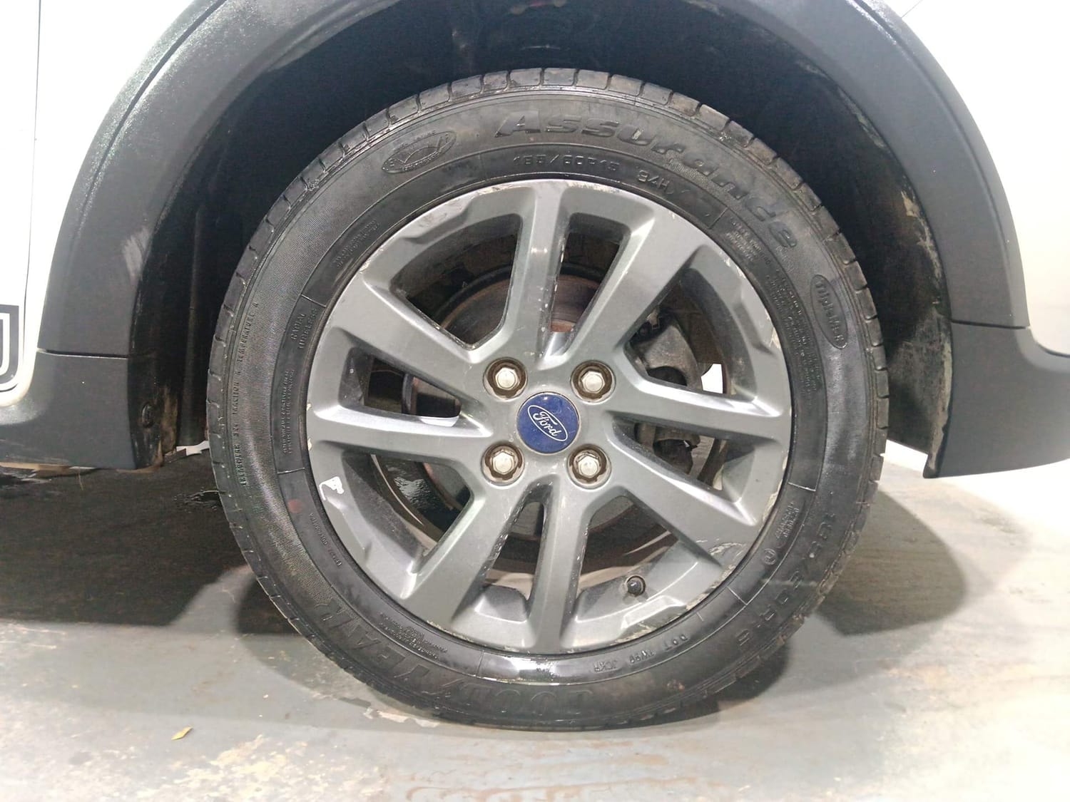 Freestyle image 32 Freestyle image 32