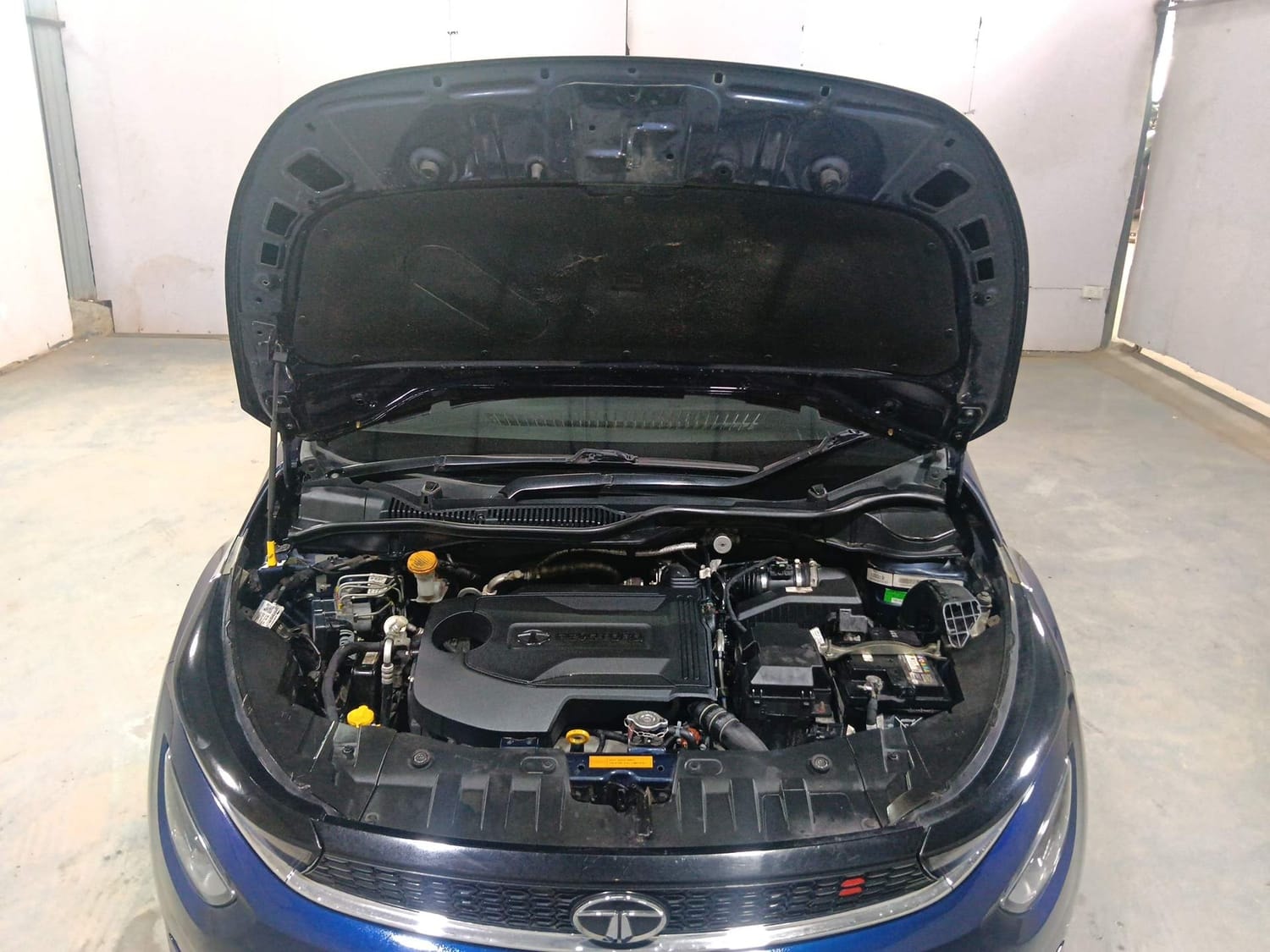 Altroz image 27 Altroz image 27