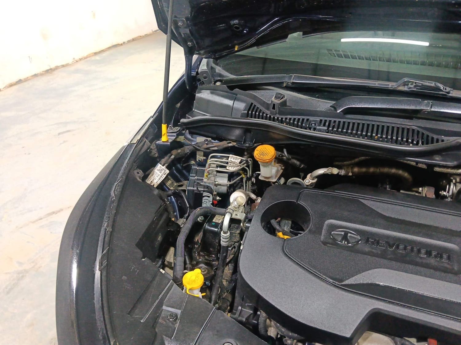 Altroz image 31 Altroz image 31