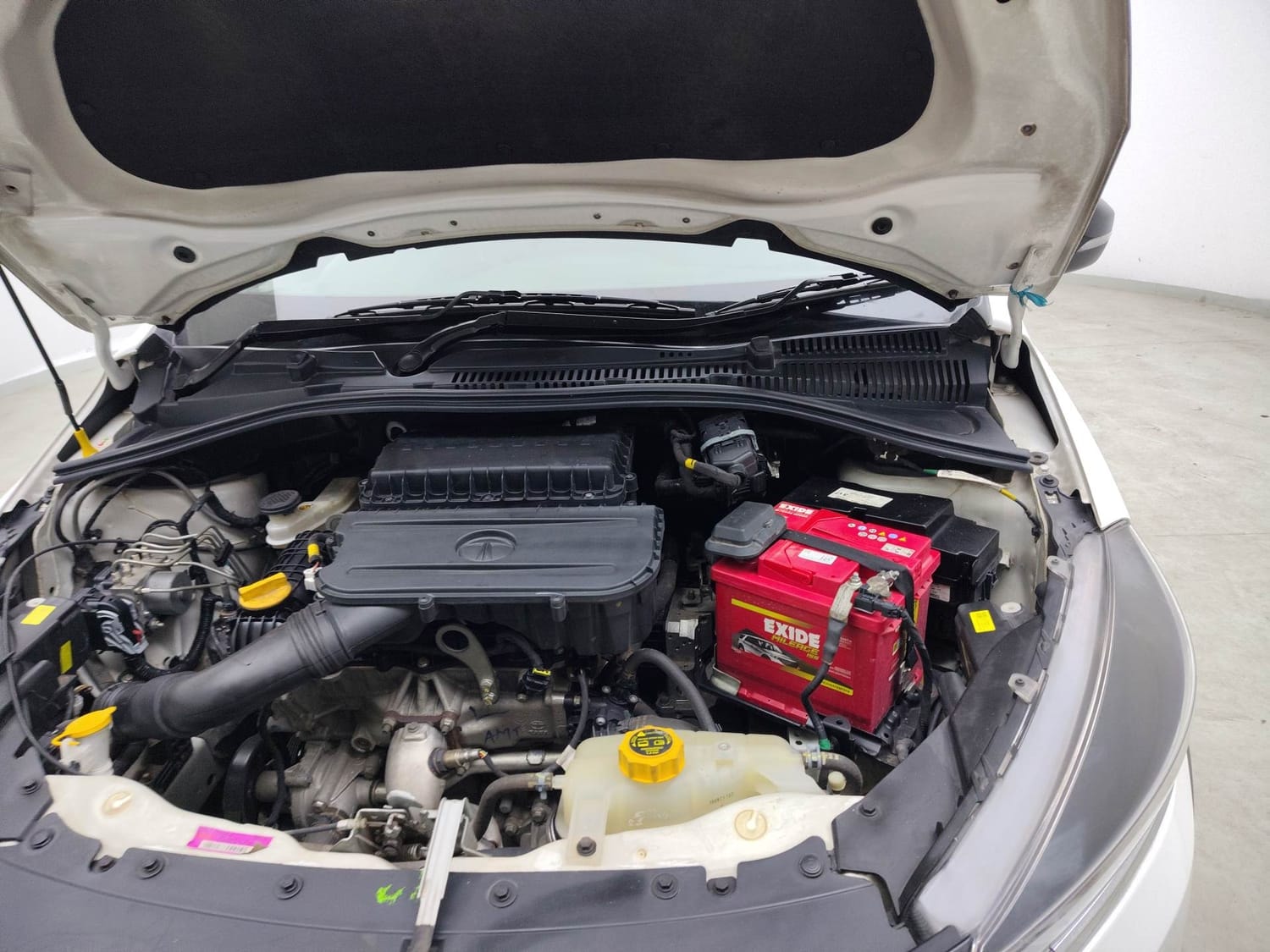 Tiago NRG image 28 Tiago NRG image 28