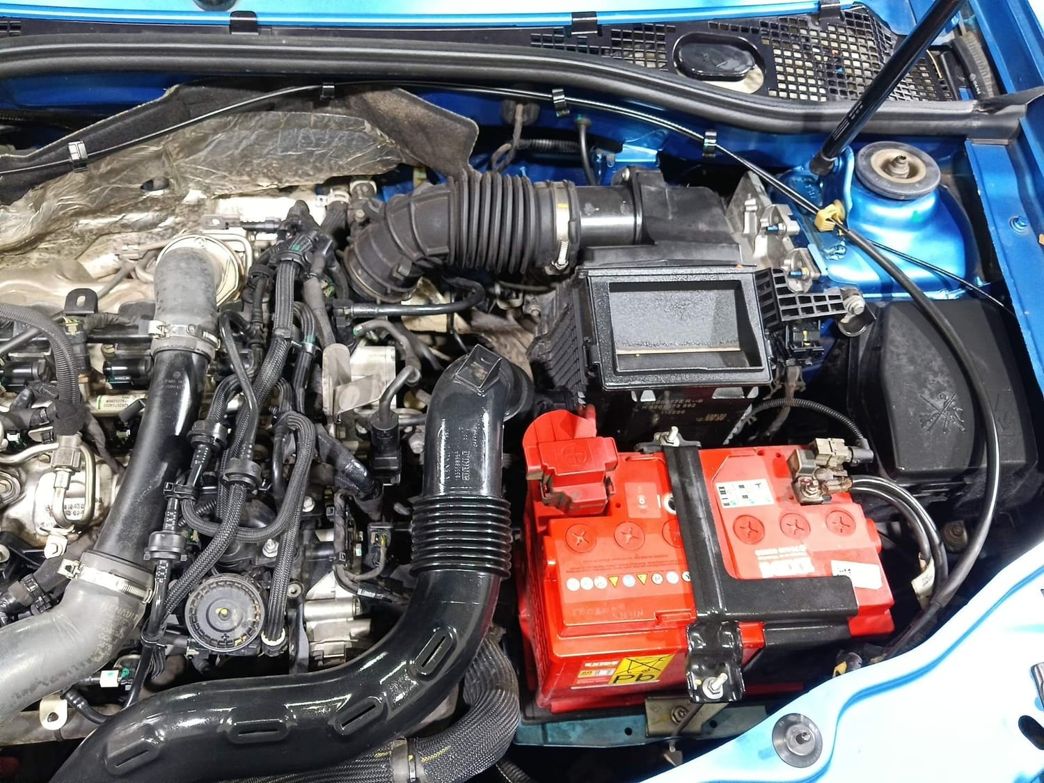 Duster image 28 Duster image 28